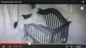 une-grand-mere-chute-dans-le-lit-de-son-petit-fils
