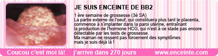 réglette enceinte.com