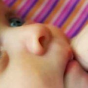 mouche bébé