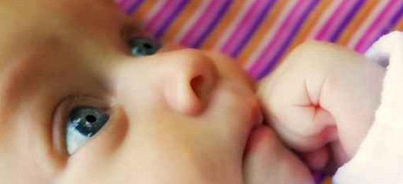 mouche bébé