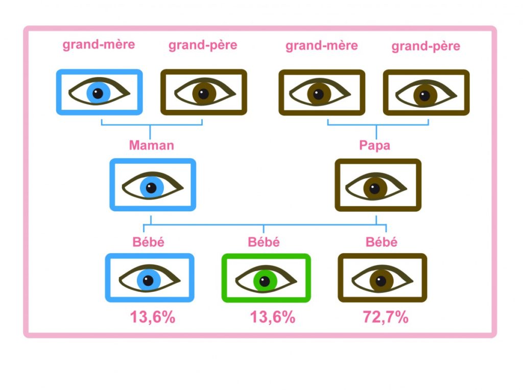 Quelle Couleur Sont Les Yeux D Un Nouveau N QHOZ
