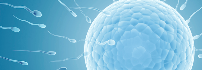 10 conseils pour booster la fertilité masculine