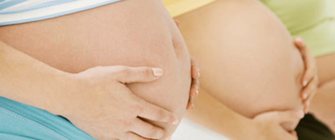 les oestrogènes hormones de la grossesse