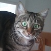 Avatar du membre