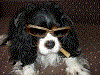 Avatar du membre