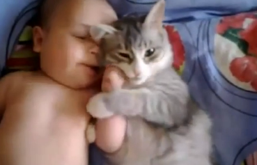 Un joli moment de tendresse entre un bébé et un chat