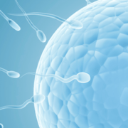 10 conseils pour booster la fertilité masculine